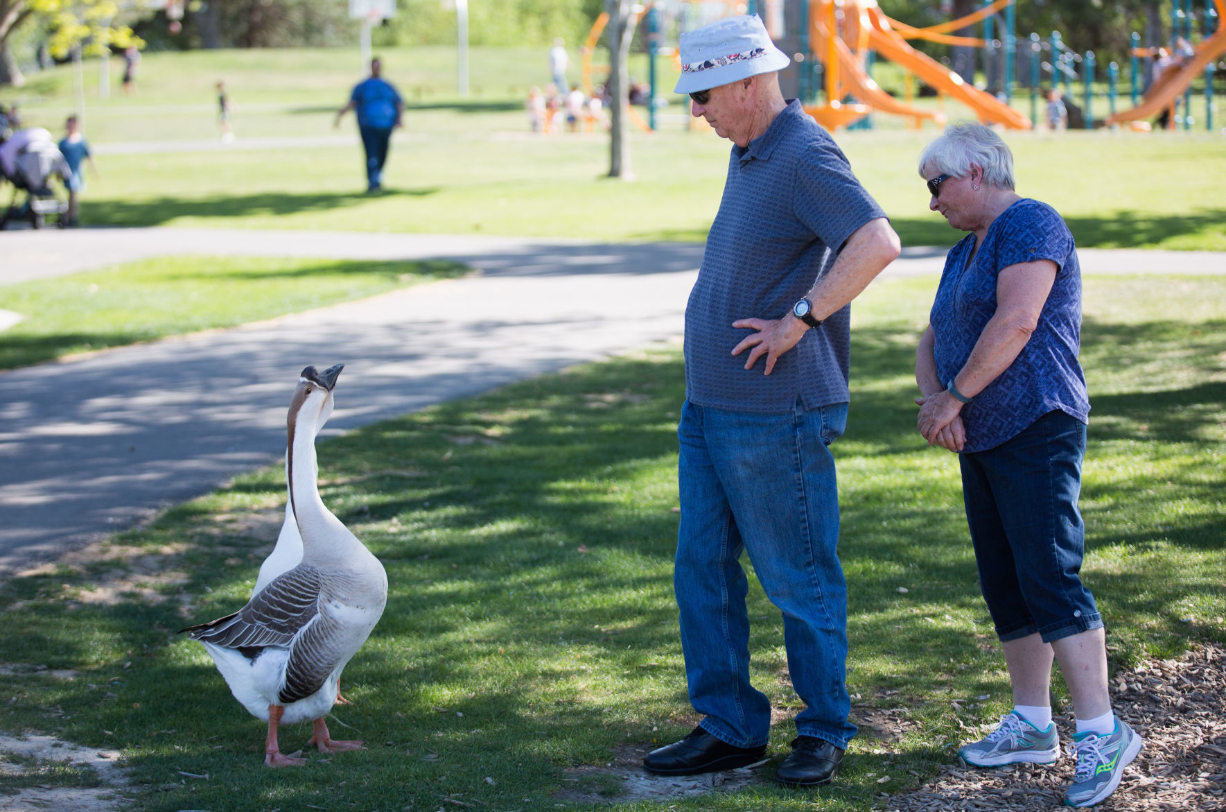 Improvements to Randall Park